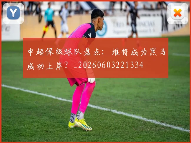中超保级球队盘点：谁将成为黑马成功上岸？_20260603221334